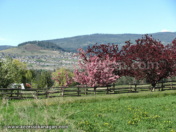 Foothills - Vernon
